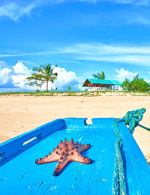 Paysage de Balabac, sud sauvage de Palawan